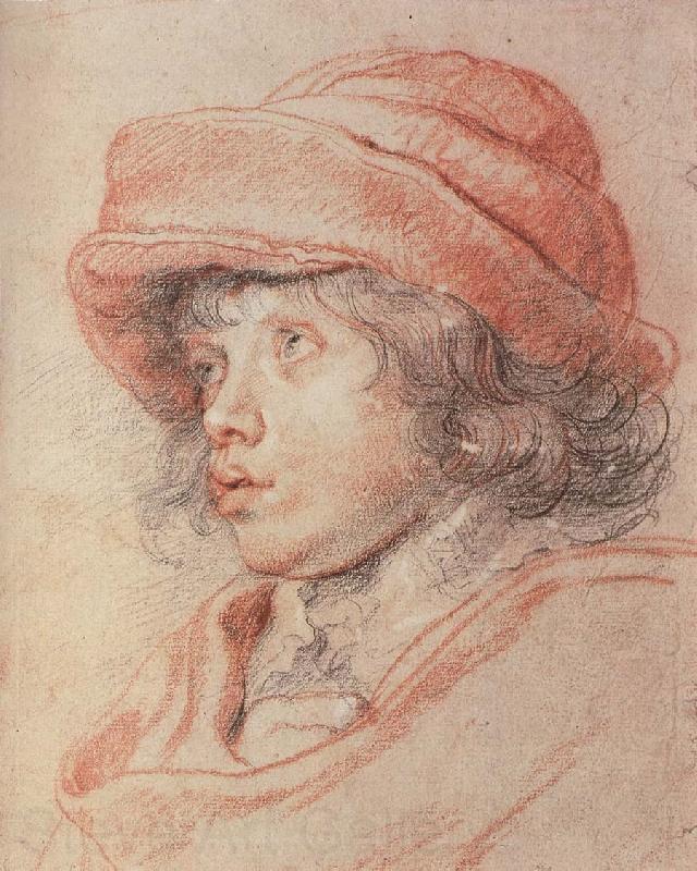 Peter Paul Rubens Nikelaxi wearing the red cap France oil painting art